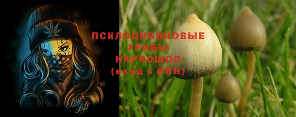спиды Балахна