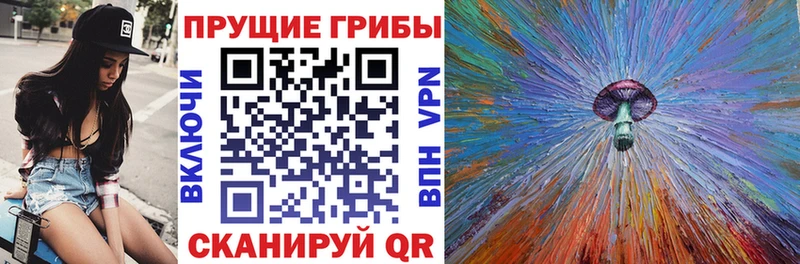 купить  цена  Белая Холуница  Галлюциногенные грибы Psilocybine cubensis 